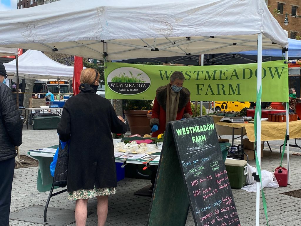 people shopping at the greenmarket