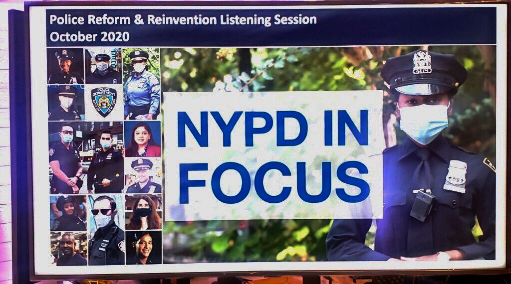 screencap of a zoom of the reform session