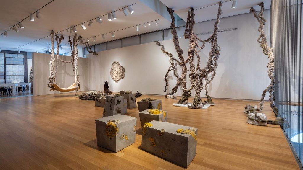 Photo of the Dana Barnes Exhibit at the Museum of Arts and Design