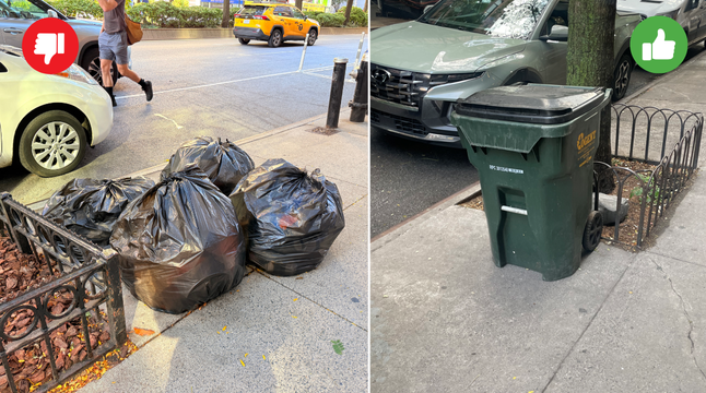 Photo comparison of trash bags on the curb and a lidded trash bin