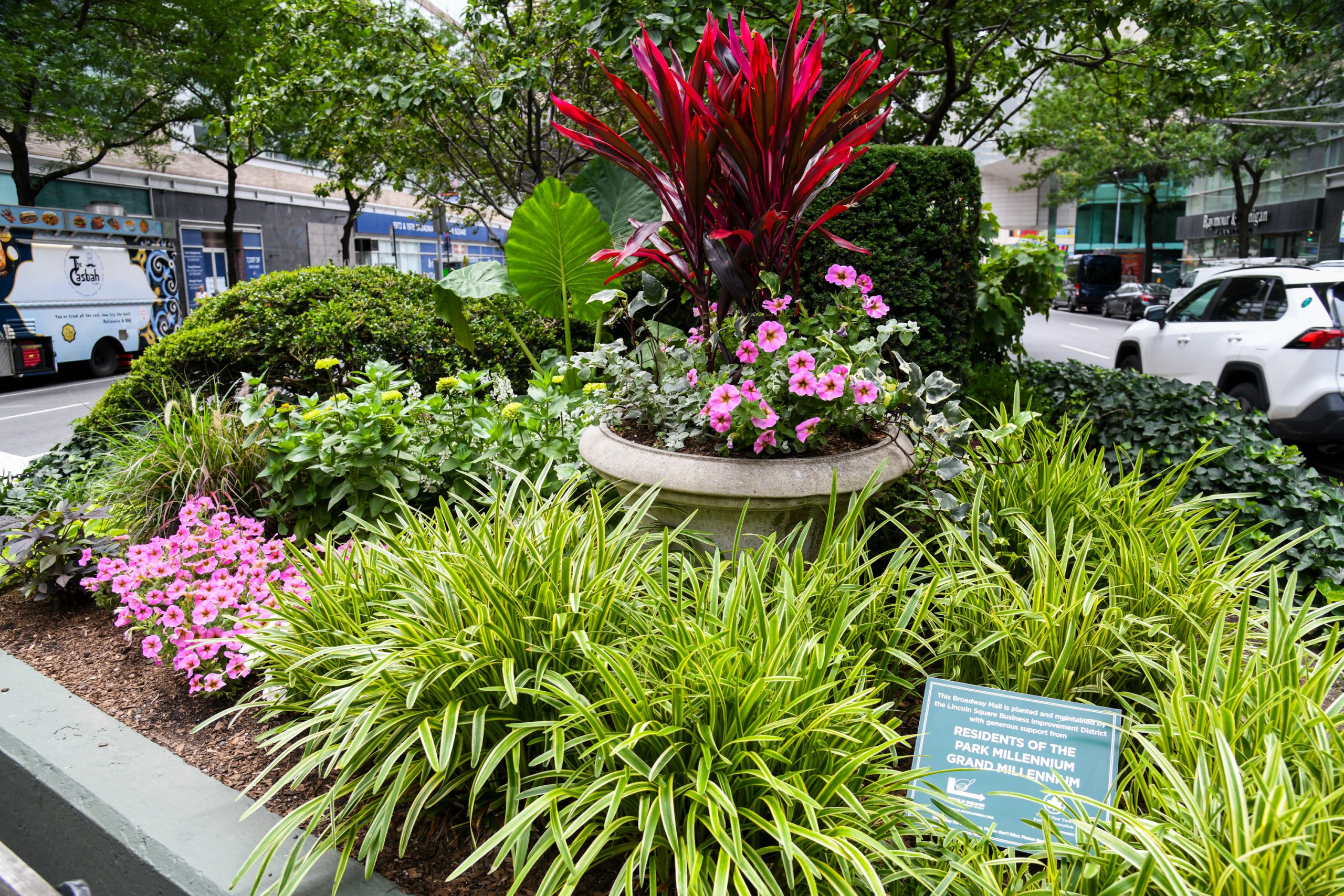 Plants in the Broadway Malls
