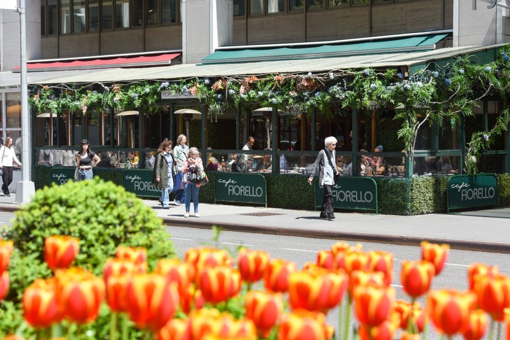 Flowers in the Broadway Malls