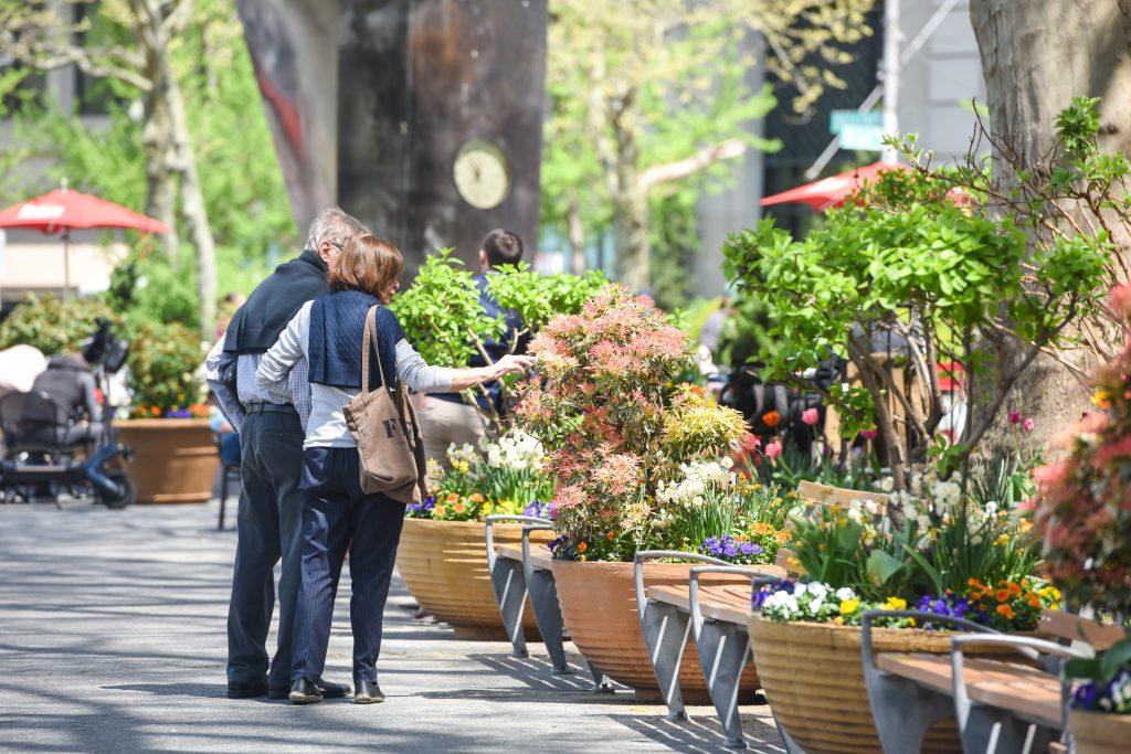 Couple observing the flowers in Dante Park