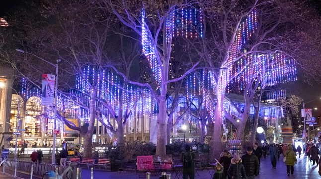 Photo of the Magical Lights at Dante Park